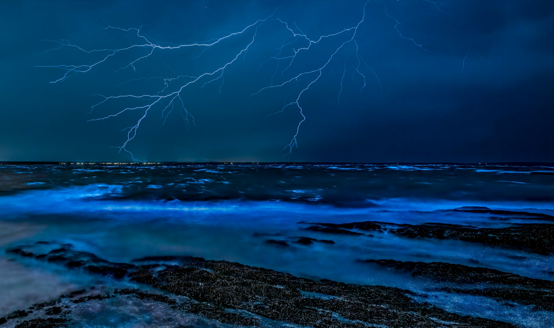 Bioluminescent Bays Explained: When, Where & How to See the Glow